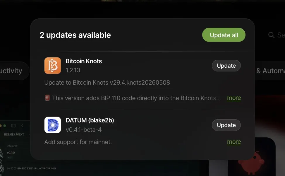 The Umbrel updates dialog now offering Bitcoin Knots 1.2.13 as an "update", alongside the DATUM (blake2b) update
