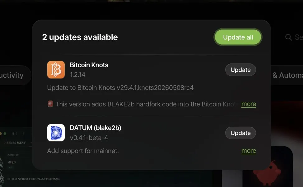 The Umbrel updates dialog showing Bitcoin Knots 1.2.14, described as "Update to Bitcoin Knots v29.4.1.knots20260508rc4", next to DATUM (blake2b) v0.4.1-beta-4
